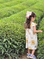 کد ۱۴۰۹ رامپر پو - Image 7