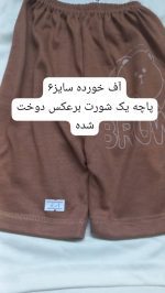کد ۲۱۶۱ ست اقتصادی خرس BROWN - Image 5