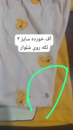 کد ۲۰۵۵ اردک تک تک - Image 5