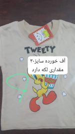کد 2188 جوجه پاپکورنی - Image 5