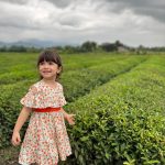 کد ۱۴۰۴ پیراهن طرح هایدی