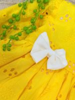 کد ۲۴۷۰ پیراهن فول سوزندوزی زرد - Image 6