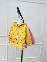 کد ۲۵۲۹ هودی تک جلوبسته وارداتی - Image 4