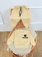 کد ۲۶۸۹ بلوز شلوار طرح balenciga - Image 3