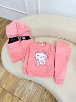 کد ۲۸۶۶ ست سه تیکه دورس و وست و شلوار وارداتی گربه - Image 3