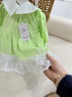کد 3286 پیراهن سوزندوزی سبز طرح خانوم خاص - Image 4