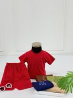 کد ۳۹۸۵ تیشرت شلوارک تدی طرح MN